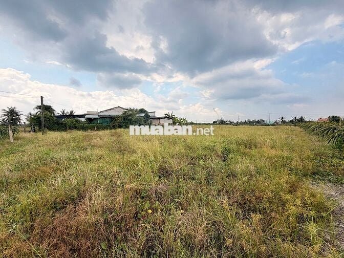 Đầu tư siêu phẩm đất vườn Châu Thành – Tiềm năng tăng giá cao