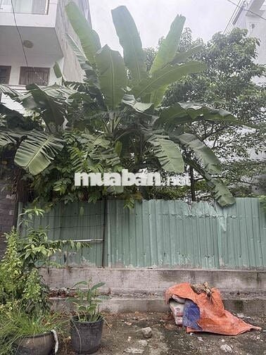 🌺🌺Cần bán đất MTKD đường số- KDC nam hùng vương- An lạc  💰💰Giá bán : 8