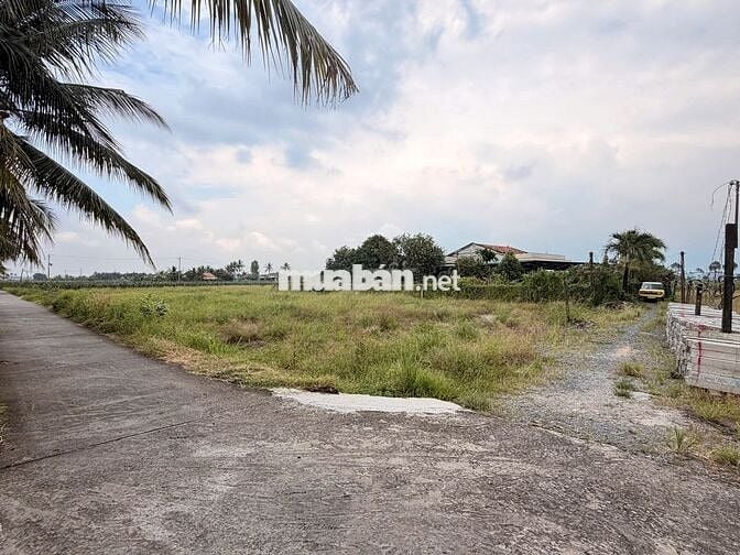 Đầu tư siêu phẩm đất vườn Châu Thành – Tiềm năng tăng giá cao