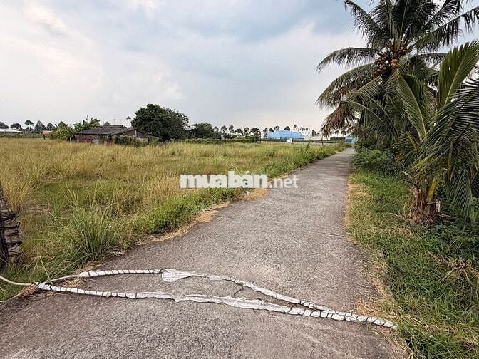 Đầu tư siêu phẩm đất vườn Châu Thành – Tiềm năng tăng giá cao