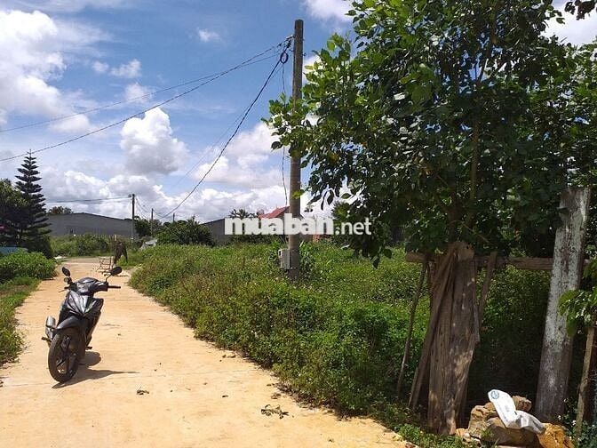 Đất sổ đỏ 137m2, Đà Lâm, Đà Loan, Đức Trọng, Lâm Đồng