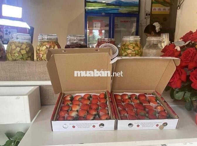 CHO THUÊ SHOPHOUSE MINI gần góc mt Ni Sư Huỳnh Liên Tân Bình