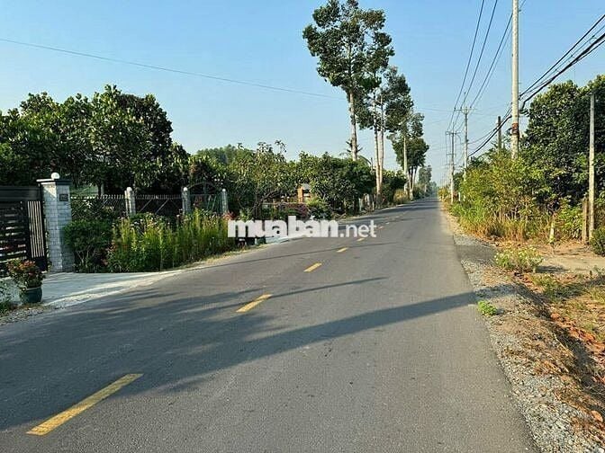 Bán đất 7x39m đường số 390 Tân An Hội –SHR– 1ty780 ở/kd/đầu tư đều tốt