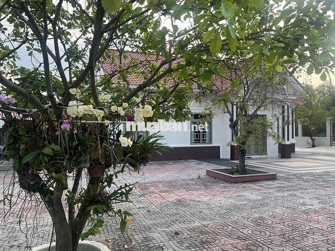 Bán Biệt Thự Vườn MT Đào Sư Tích 1200m2 (400m2 thổ cư)