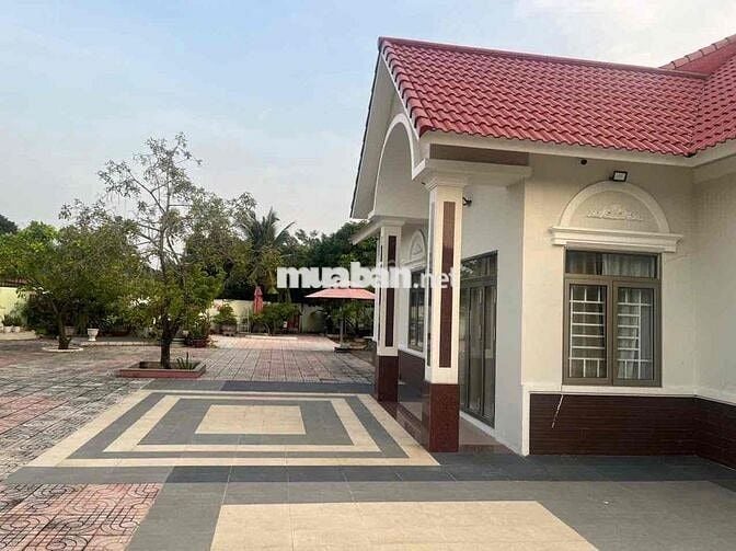 Bán Biệt Thự Vườn MT Đào Sư Tích 1200m2 (400m2 thổ cư)