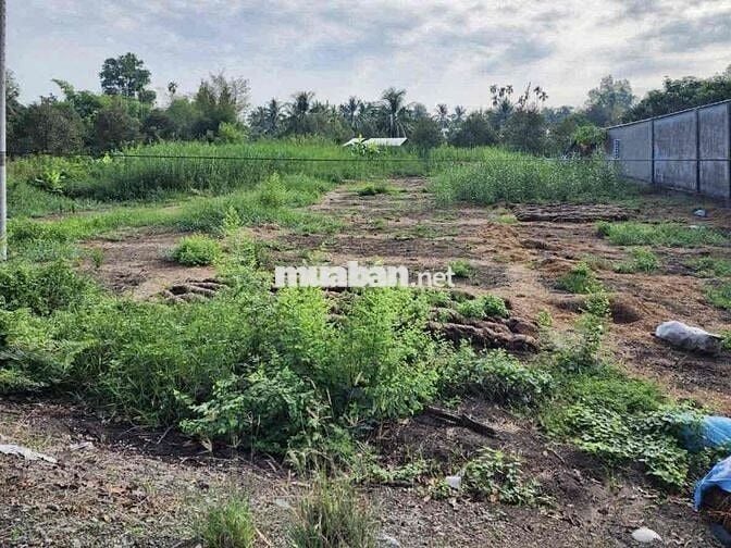 Nền Mặt Tiền - 225m2 ONT - Cách Chợ Một Ngàn 3Km -  Giá 799 Triệu