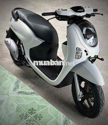 Scoopy New 2025