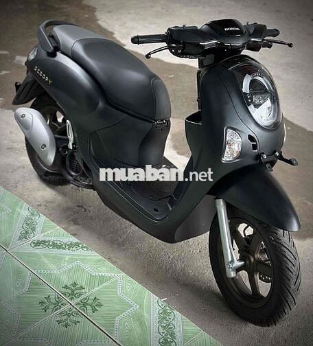 Scoopy New 2025