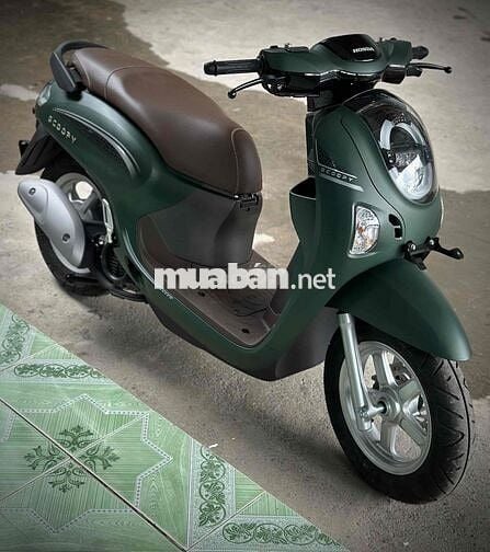 Scoopy New 2025