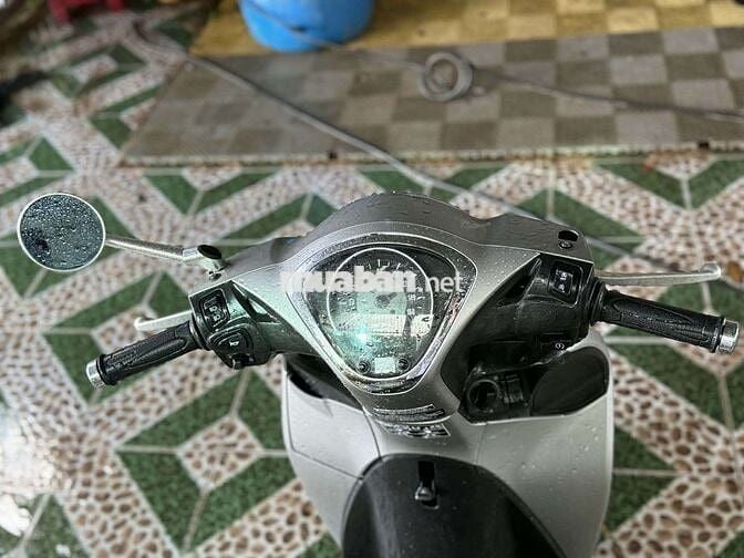 Shmodel 2021 xám bạc