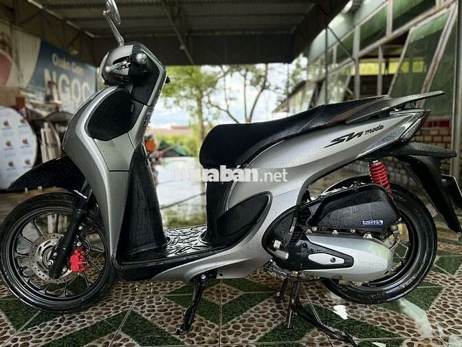 Shmodel 2021 xám bạc