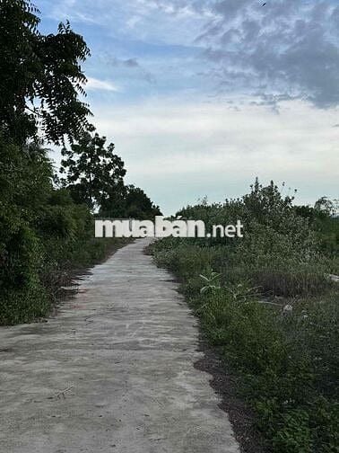 Bán dãy nhà trọ 6,5x34 phạm ngũ lão phước mỹ phan rang ninh thuận