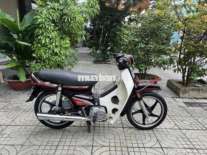 bán Dream thái nhập đời 1994,bstp,bao tranh chấp