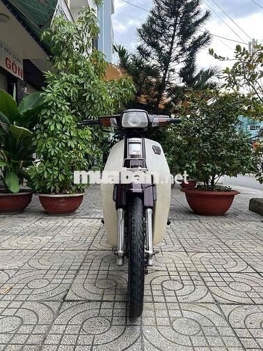 bán Dream thái nhập đời 1994,bstp,bao tranh chấp