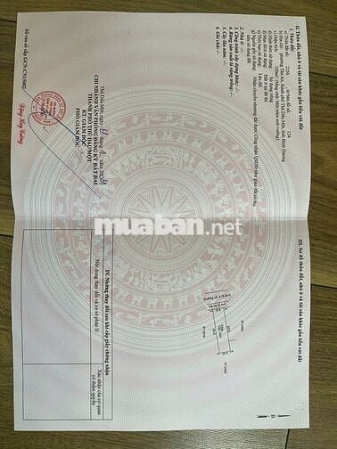 Nhà cấp 4 trong khu định cư Tân An 100m²  thổ cư, Đường Số 3 (6m)