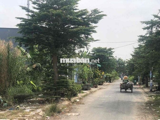 Bán Vài Nền KDC Long Hoà, MT Đường Đinh Đức Thiện SHR 950Tr đường 7m