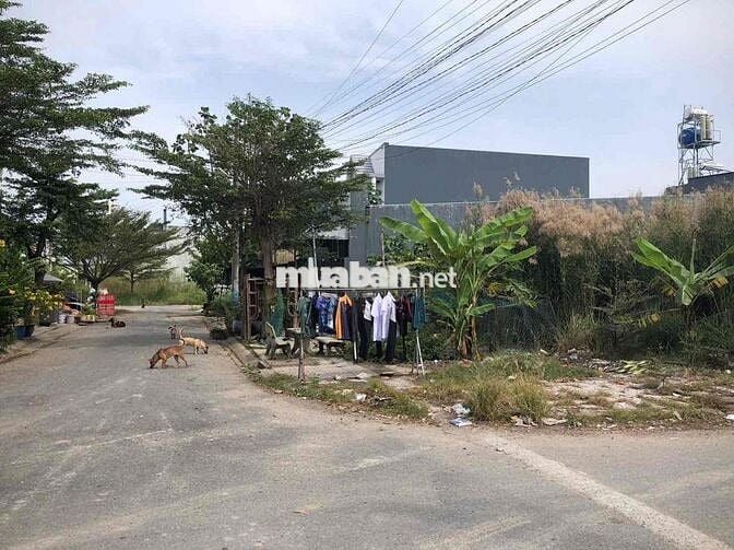 Bán Vài Nền KDC Long Hoà, MT Đường Đinh Đức Thiện SHR 950Tr đường 7m