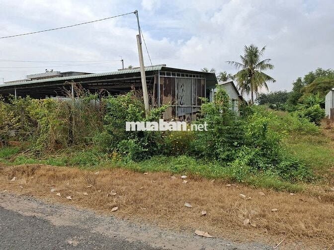 9x57 có thổ cư. Đường nhựa thông vào KCN.  1,4 tỷ