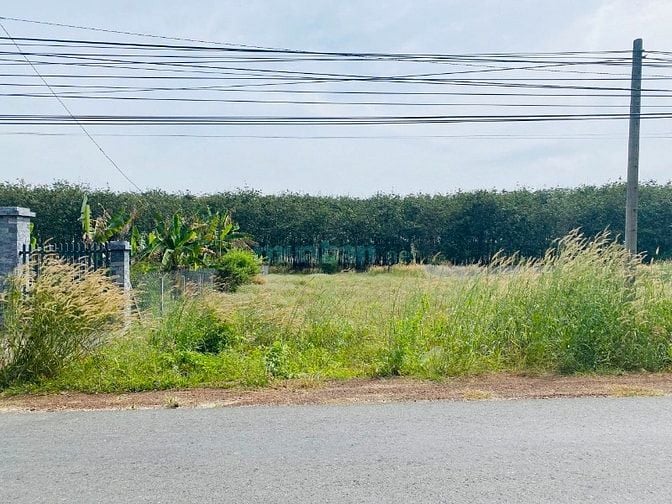 Mặt tiền đường tỉnh DT744 đất thành phố Hồ Chí Minh