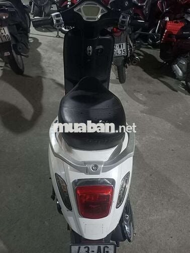 Nioshiwa 50cc 2023 Trắng đen