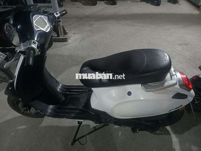 Nioshiwa 50cc 2023 Trắng đen