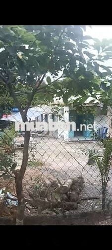 Ông anh cần bán gấp 16233m2 và nhà Yến Xuân Tây ,Cẩm Mỹ, Đồng Nai