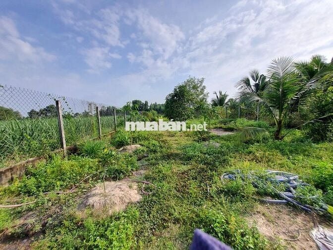 Nhà vườn hơn 1000m2 có thổ cư. Gần KCN. 190tr (1m ngang)