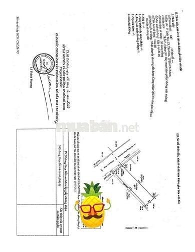 BÁN LÔ ĐẤT HIẾM_  MT ĐƯỜNG SỐ 7 _ PHƯỜNG LINH TÂY _ THỦ ĐỨC