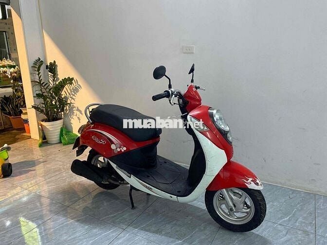 Elite SYM 50cc biển Hà Nội
