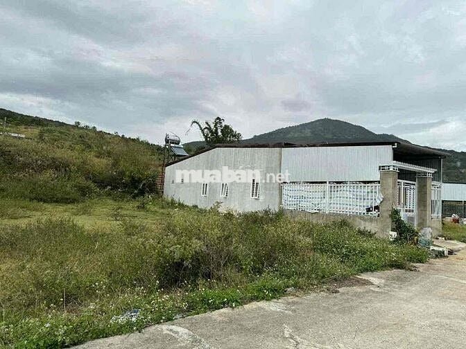 Đất chính chủ gần chợ Phi Nôm 137m vuong