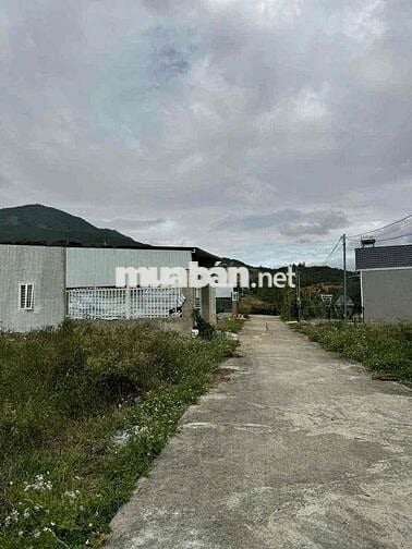 Đất chính chủ gần chợ Phi Nôm 137m vuong