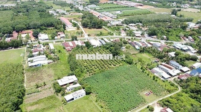 GẦN ĐƯỜNG LỚN 5x35m FULL THỔ CƯ. CHỈ 499TR