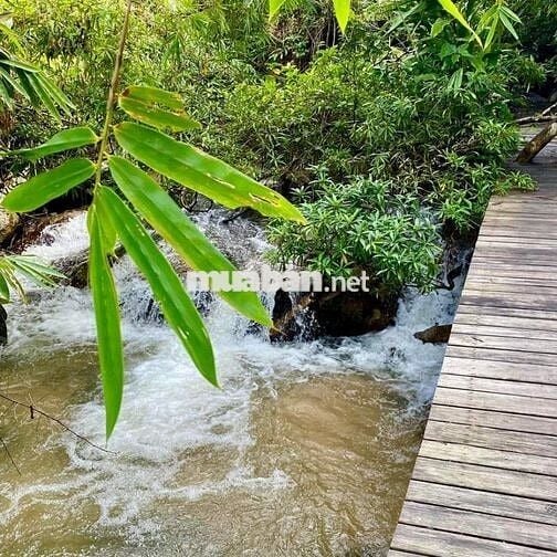 🏡 GIÁ RẺ BẤT NGỜ: 500TR CÓ NGAY NỀN ĐẸP 100–170M², SỔ RIÊNG, GẦN KCN!