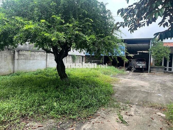 Đất Xuân Thới Thượng 13 Hóc Môn