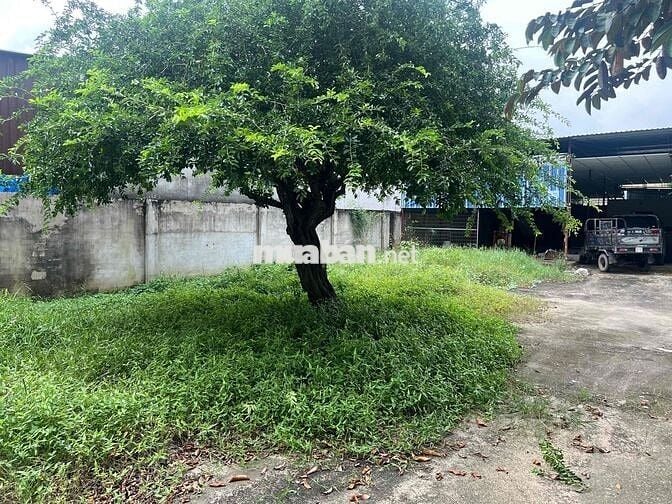 Đất Xuân Thới Thượng 13 Hóc Môn