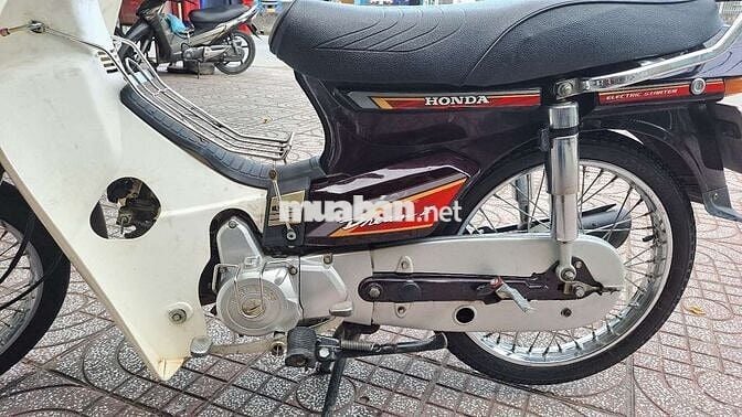 SANDA BOSS BOSS C50 2020 Nâu