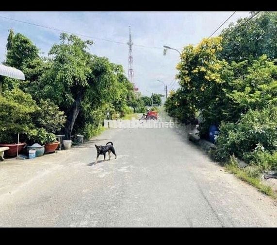 Bán Đất Ngộp Thổ Cư Gần Chợ An Hòa ,Trảng Bàng.DT 90m2,Giá 450tr, SHR