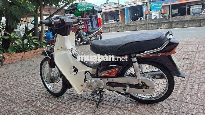 SANDA BOSS BOSS C50 2020 Nâu