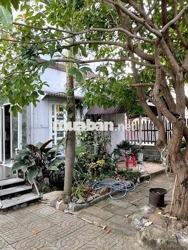 Bán nhà 240m2 cách biển 650m có nhà sẵn