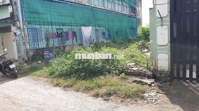 Đất thổ cư DT 8m*25m, hẻm xe tải, gần chợ Đại Hải,Cv sinh thái Hóc Môn