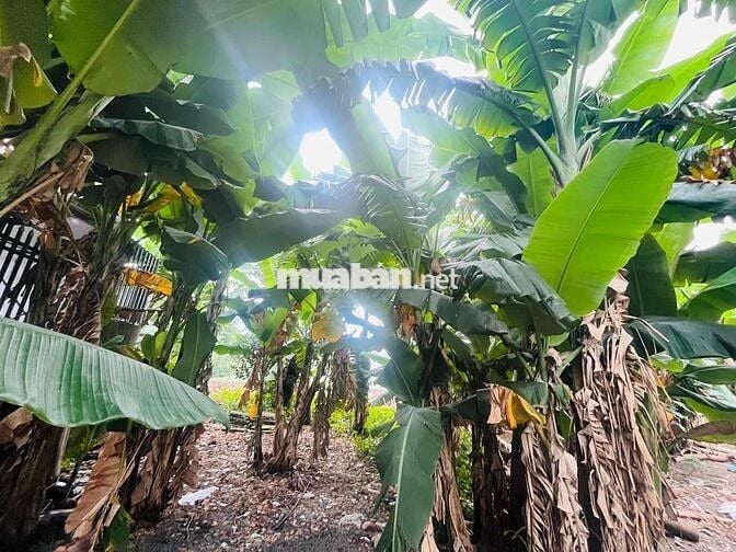 LÔ ĐẤT 400m2 sổ Hồng Riêng Phường Đông Hoà TPHCM