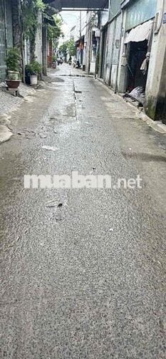 lo đât dang cần bán gấp trong vòng 1 tuần