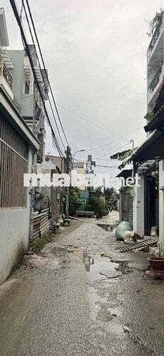 lo đât dang cần bán gấp trong vòng 1 tuần