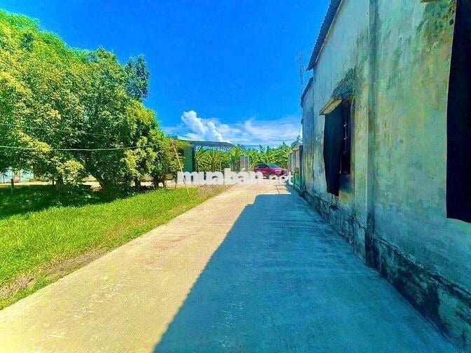 Chính chủ cần bán 2 lô mặt tiền 260m2 780triệu/lô  đang lên đường nhựA