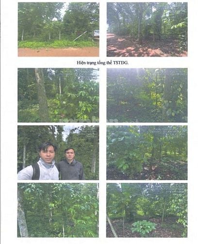 BÁN ĐẤU GIÁ TS MSB L3_TT NGÃI GIAO, CHÂU ĐỨC, BR-VT, NAY LÀ TPHCM