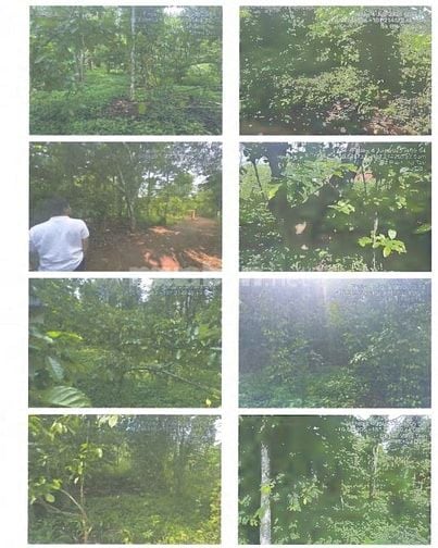 BÁN ĐẤU GIÁ TS MSB L3_TT NGÃI GIAO, CHÂU ĐỨC, BR-VT, NAY LÀ TPHCM