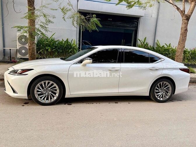 Lexus ES250 Model 2022 Trắng nâu đẹo hết bài