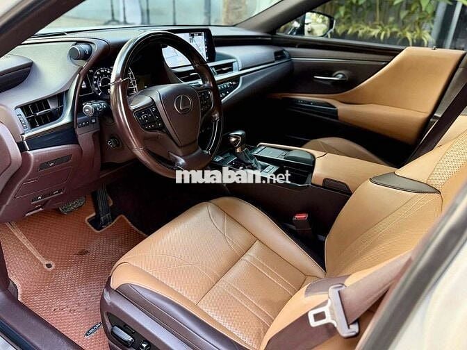 Lexus ES250 Model 2022 Trắng nâu đẹo hết bài