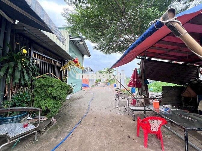 Chính Chủ Bán Đất Ấp 2 hữu Thạnh đối diện Ecity Tân Đức 1/ DT824