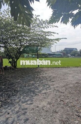 346M Đất ở Nông Thôn - Hưng Long-BC- 15x23-1.55Ty- Tặng Nhà C4